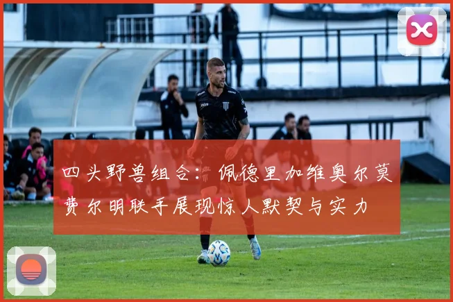 四头野兽组合：佩德里加维奥尔莫费尔明联手展现惊人默契与实力
