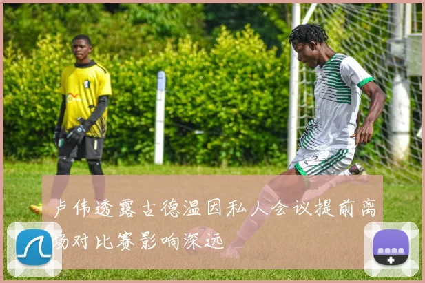 卢伟透露古德温因私人会议提前离场对比赛影响深远